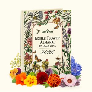 Edible Flower Almanac 2026 by USDA Zone